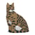 Chat Tigré marron assis | JEKCA | 14 ans et +