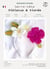 Coffret DIY papier - Serre-Tête fleurs exotiques