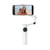 Insta360 Flow 2 Pro Standard Gris pierre
