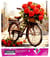 Diamond Painting Broderie Diamant LUMINLIFE 60x60cm, 100% strass, diamants ronds - Vélo et roses