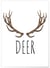 Affiche DEER | A3 : 29,7x42cm