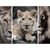 Triptyque sur toile famille de lions 125x97 cm