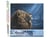 Peinture par Numéro Figured'Art - Lion dans la pénombre - Kit de Loisir Créatif DIY Numéro d'Art Complet - 40x50cm sans châssis en bois