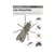Miniguide 86 - Les mouches