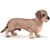 Figurine chien Teckel - Papo