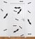 Sticker 3D chauve-souris - lot de 60