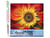 Peinture par Numéro Figured'Art - Tournesol artistique - Kit de Loisir Créatif DIY Numéro d'Art Complet - 40x50cm sans châssis en bois