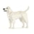Chien Labrador Retriever crème Taille standard | JEKCA | 14 ans et +