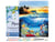 Peinture par Numéro Figured'Art avec Cadre - Dauphins dans le lagon - Kit de Loisir Créatif DIY Numéro d'Art - 40x50cm toile tendue sur châssis