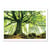Affiche 50x70 cm - Ponthus' Beech - Christophe. Kiciak