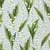 Lot de 4 serviettes en papier découpage collage 33 cm MUGUET FL 400
