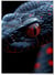 Affiche Serpent noir et rouge | A3 : 29,7x42cm