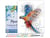 Peinture par Numéro Figured'Art avec Cadre - Perroquet en plein Vol - Kit de Loisir Créatif DIY Numéro d'Art - 40x50cm toile tendue sur châssis