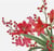 Lot de 4 serviettes en papier découpage collage 33 cm FLEUR DE NOEL