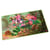 Ultimate Guard - Play-Mat Magic: The Gathering "Lorwyn Eclipsed" Vibrance