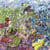 Puzzle 1000 pièces - Inside the Greenhouse - Grafika