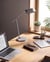 Lampe de Bureau LED Grise avec Bras Réglable et Rotatif Variateur Minuterie