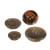 Lot de 3 boutons 4 trous imitation corne Marron