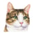 Lot de 4 serviettes en papier découpage collage 33 cm CHAT A 402