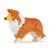 Chien Berger des Shetland marron Taille standard | JEKCA | 14 ans et +