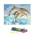 Kit complet canevas 15 x 20 cm motif dauphins