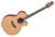 P3NC Takamine