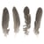 Plume de pintade, 20-22cm, 4pces