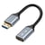 LinQ Adaptateur HDMI 4K HD vers DisplayPort Mâle 4K HD avec mini câble Gris