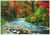 Puzzle 1000 pièces - Cours d'eau dans la Forêt - Eurographics
