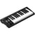 Clavier maître MIDI USB Icon Pro Audio Artist 25 - 25 touches sensibles à la vélocité - Aluminium