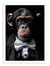 Affiche 50 x 70 cm -  Chimpanzee Wild Suits - Philippe Hugonnard