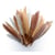 Graine Créative - Plumes d'indien pour activités enfant Camaieu beige 15cm