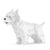 Chien West Highland White Taille standard | JEKCA | 14 ans et +