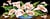 Canevas antique Débordement d'arums 25x60cm