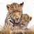 Lot de 4 serviettes en papier découpage collage 33 cm LEOPARDS A 1005