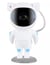 Star Sky P9 Planetarium - Labzz