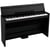 E1 Air Black Korg