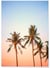 Poster Nature Tropicale 3 | A3 : 29,7x42cm