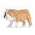 Chien Bulldog Anglais beige Taille standard | JEKCA | 14 ans et +