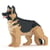 Chien Berger Allemand noir et feu Taille standard | JEKCA | 14 ans et +