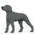 Chien Braque de Weimar Taille standard | JEKCA | 14 ans et +