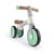 Vespa coloris vert