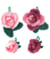 Kit Crochet Set Creative Bubble Rose Classic de Rico Design : L’élégance classique au bout de votre crochet Blanc