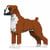 Chien Boxer marron Taille standard | JEKCA | 14 ans et +