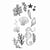 Tampons transparents - Plantes et animaux de l'océan - 15 clear stamps - Sizzix