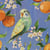 Lot de 4 serviettes en papier découpage collage 33 cm OISEAU PERUCHE ORANGE O 406