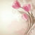 Lot de 4 serviettes en papier découpage collage 33 cm FLEUR TULIPE F 211