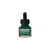 Encre Acrylique en flacon - vert permanent clair - Sennelier
