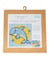 Kits Canevas enfant - 17 x 17 cm -Trimits Dauphin Sauteur
