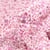 Tissu Popeline de coton Sweet Flower Mathilde Rose sur fond Blanc